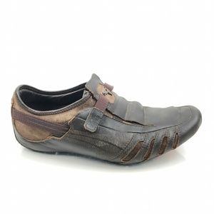 puma vedano